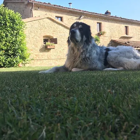 San Giovanni Alloggio per agriturismo Baucca
